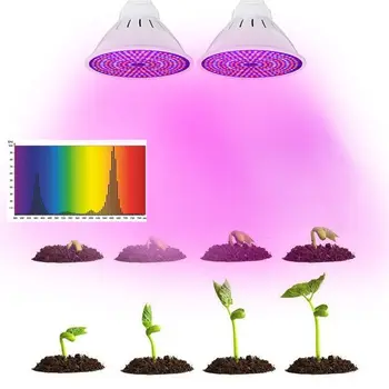 E27 100W SMD2835 LED Rásť Svetlo 290LED celé Spektrum Rastlín Lampa pre Kvetinové Semená Skleníkových Izbové Rastliny Rastúce AC85-265V