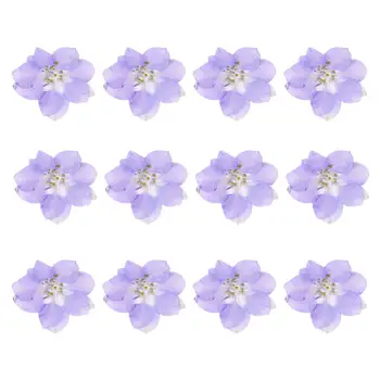 12Pcs Sušených Kvetov, Epoxidové Živice DIY Tvorba dlhodobých Sušené Lisované Kvety na Záložku