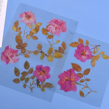 Simulácia Trsimulation Transparentné Sušené Kvety Prírodné Daisy Leaf Clover Nálepky Priehľadná Pet Materiálu, Kvet, List Nálepky
