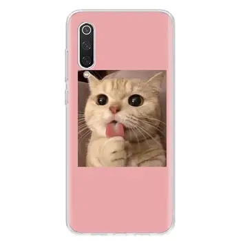 Horúce Zábavné Super Cute Cat Krásne Kryt Telefónu Prípade Pre Xiao Poznámka 10 Mi 11 9 8 CC9 5X 6X 9T 10 TON A3 Poco X3 NFC F1 Pro Lite + Coqu