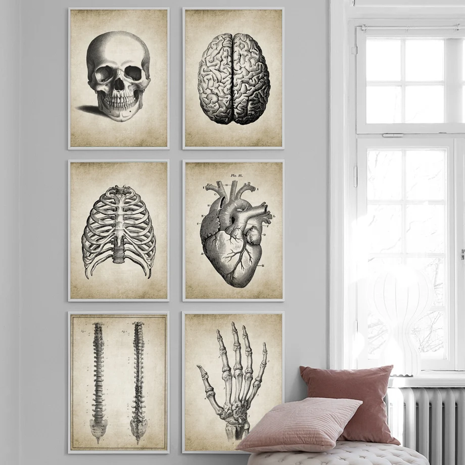 Mozog Prst lebky Ľudskej Anatómie Plagát Vintage Wall Art Plátno na Maľovanie Nordic Plagáty A Potlačou obrazov na Stenu Pre Obývacia Izba
