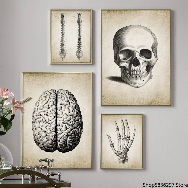 Mozog Prst lebky Ľudskej Anatómie Plagát Vintage Wall Art Plátno na Maľovanie Nordic Plagáty A Potlačou obrazov na Stenu Pre Obývacia Izba