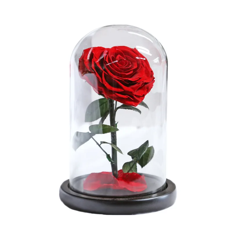 Nová Kráska a Zviera Ruže Srdce Tvar Real Konzervované Kvety V Sklenenou Kupolou Valentín Svadba, Vianoce, Narodeninové Darčeky