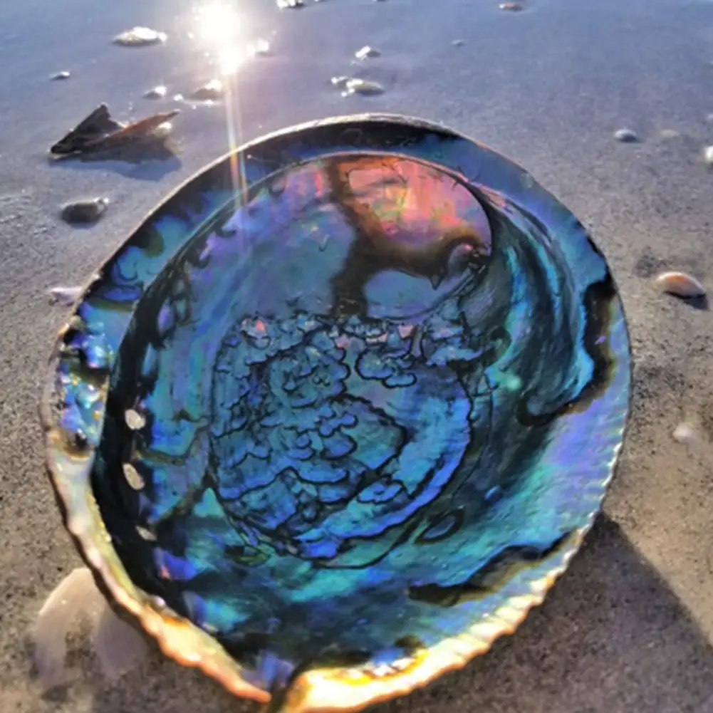 Lešteného Prírodného Abalone Škrupiny Seashell Domovskej Krajiny Plavidlo Držiak na Ručné Akvárium Pacific Dekor Mydlo U3U8