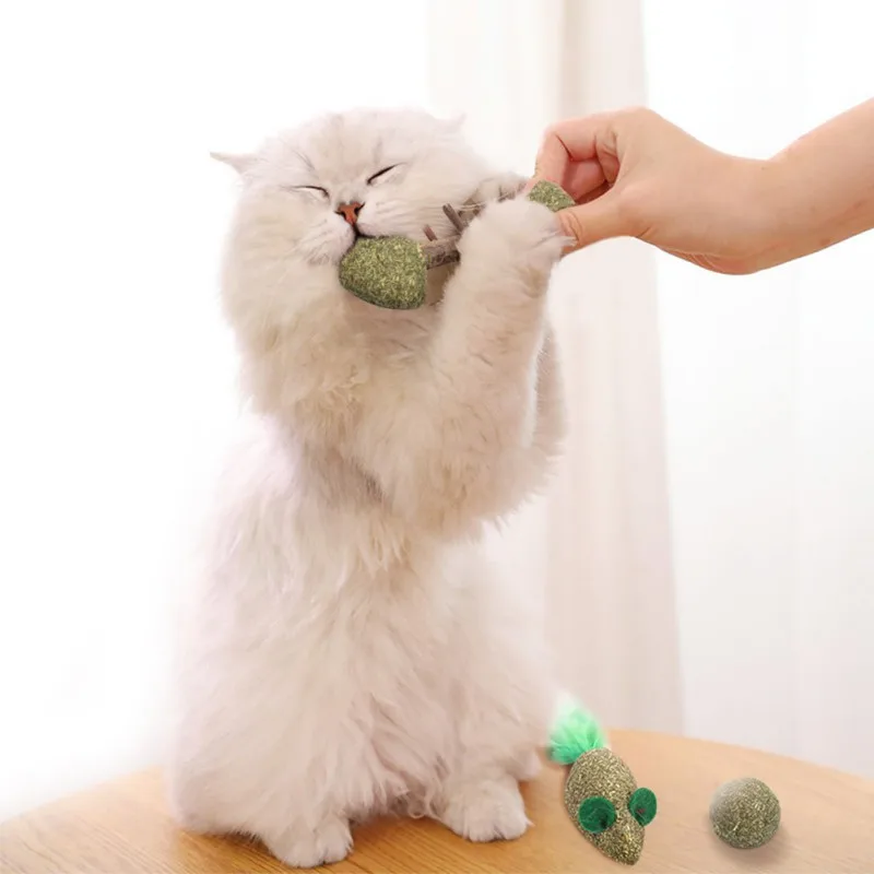 Pet Mačka Odstraňuje Hairballs Žuť Na Drevené Hračky Zdravé Bezpečnosť Cat Mint Hračka Pet Zuby Brúsenie Catnip Pazúry Mačky Mint Scratcher